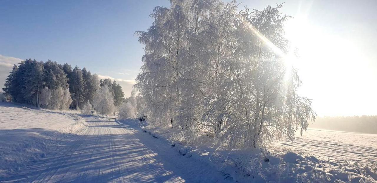 Ostoja Bukowo 12,2 chata u szôłtësa Borowy Mlyn Extérieur photo