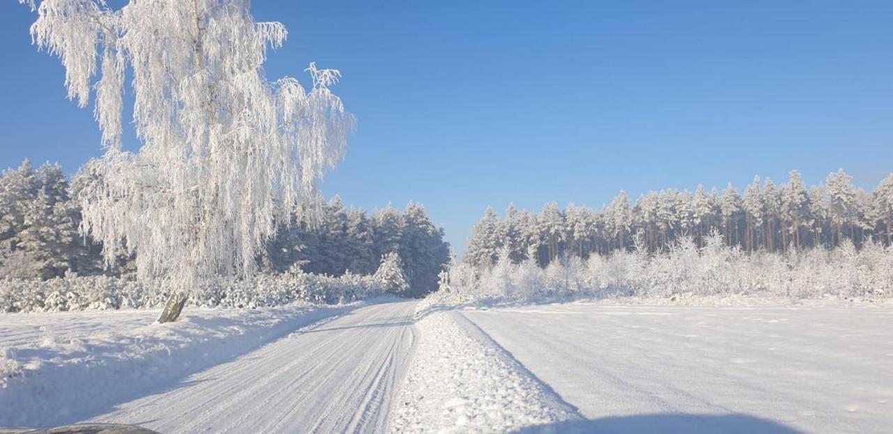 Ostoja Bukowo 12,2 chata u szôłtësa Borowy Mlyn Extérieur photo