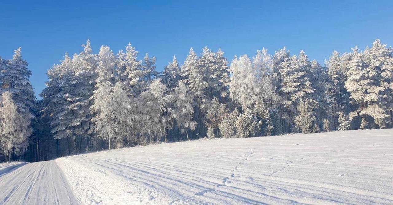Ostoja Bukowo 12,2 chata u szôłtësa Borowy Mlyn Extérieur photo